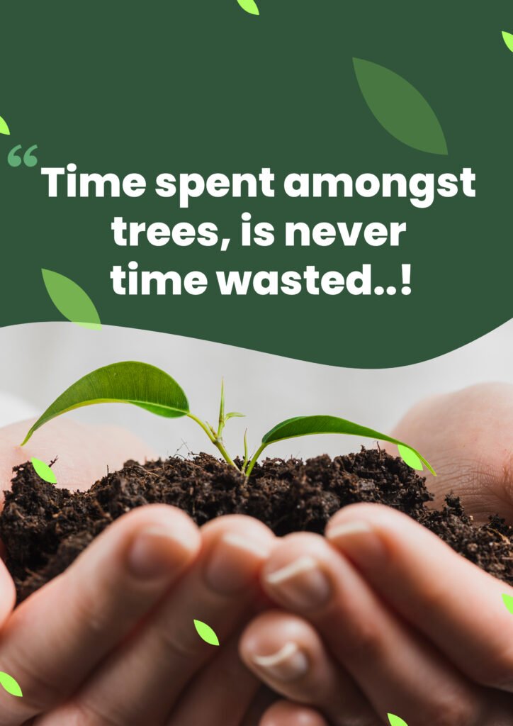 importance of tree plantation- वृक्षारोपण क्यों है हमारे जीवन के लिए जरूरी ?