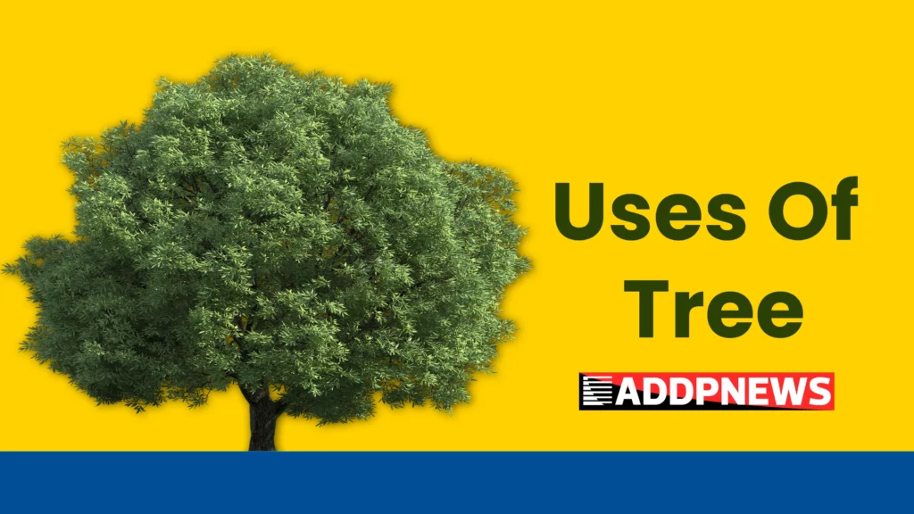 uses of trees in hindi