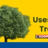 uses of trees in hindi