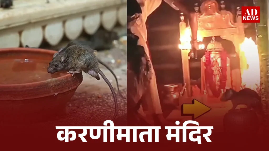 Karni mata mandir: जानिए करणी माता मंदिर की अद्भुत कहानी