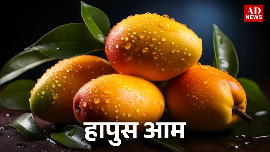 15 types of mangoes: भारत के खास आम जो आपको जरूर चखने चाहिए!