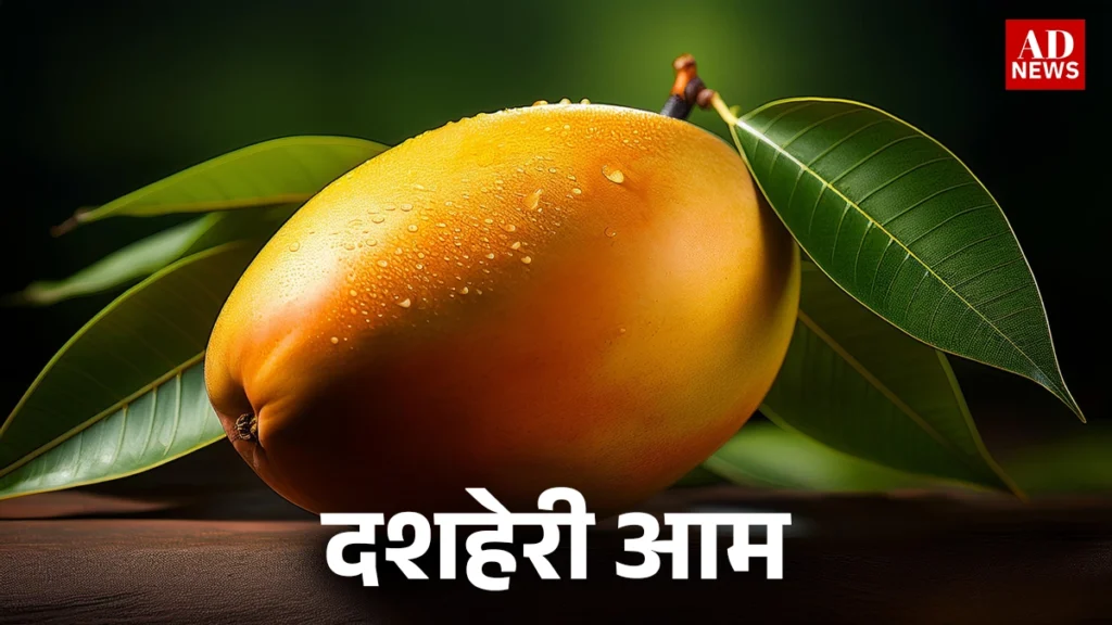 15 types of mangoes: भारत के खास आम जो आपको जरूर चखने चाहिए!