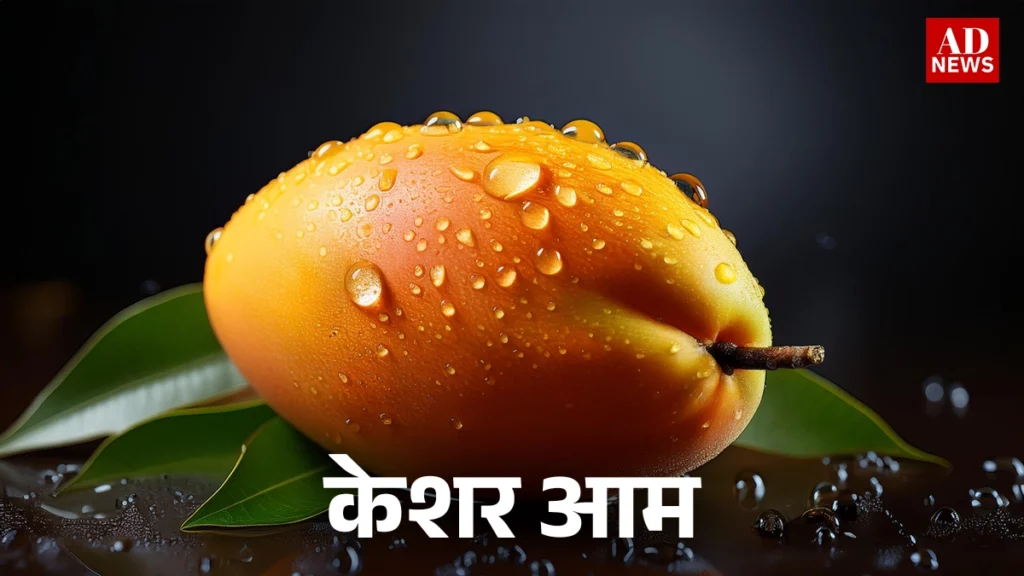 15 types of mangoes: भारत के खास आम जो आपको जरूर चखने चाहिए!