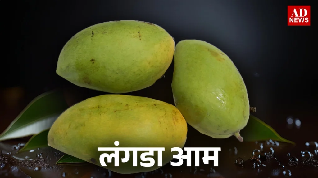 15 types of mangoes: भारत के खास आम जो आपको जरूर चखने चाहिए!