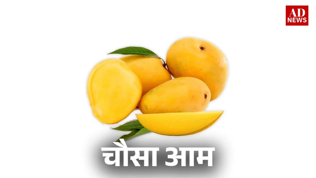 15 types of mangoes: भारत के खास आम जो आपको जरूर चखने चाहिए!