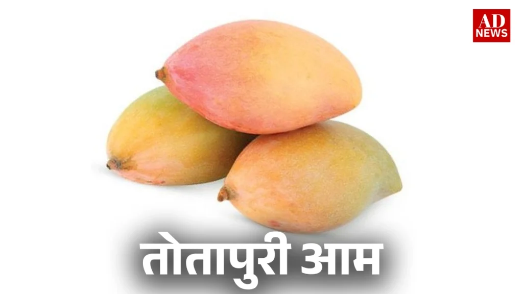 15 types of mangoes: भारत के खास आम जो आपको जरूर चखने चाहिए!