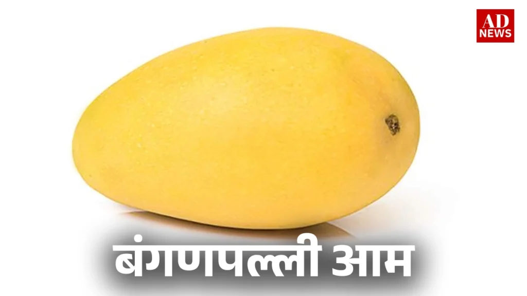 15 types of mangoes: भारत के खास आम जो आपको जरूर चखने चाहिए!