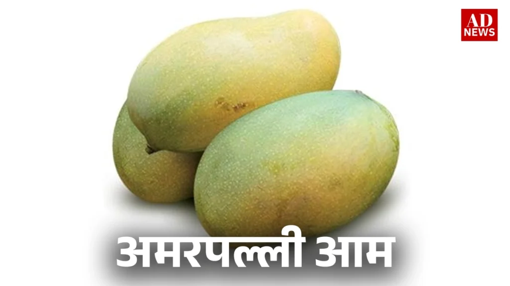 15 types of mangoes: भारत के खास आम जो आपको जरूर चखने चाहिए!