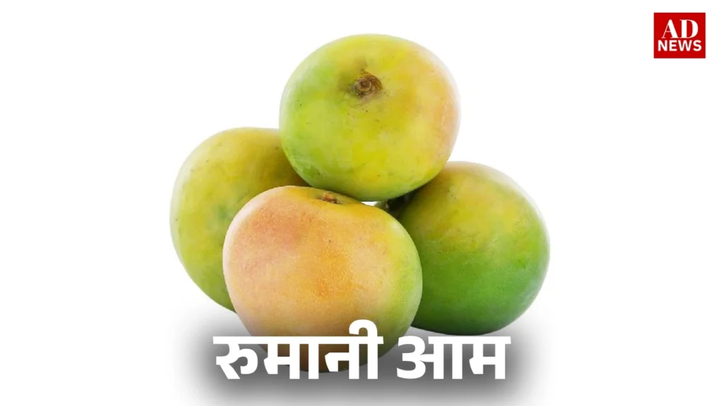 15 types of mangoes: भारत के खास आम जो आपको जरूर चखने चाहिए!