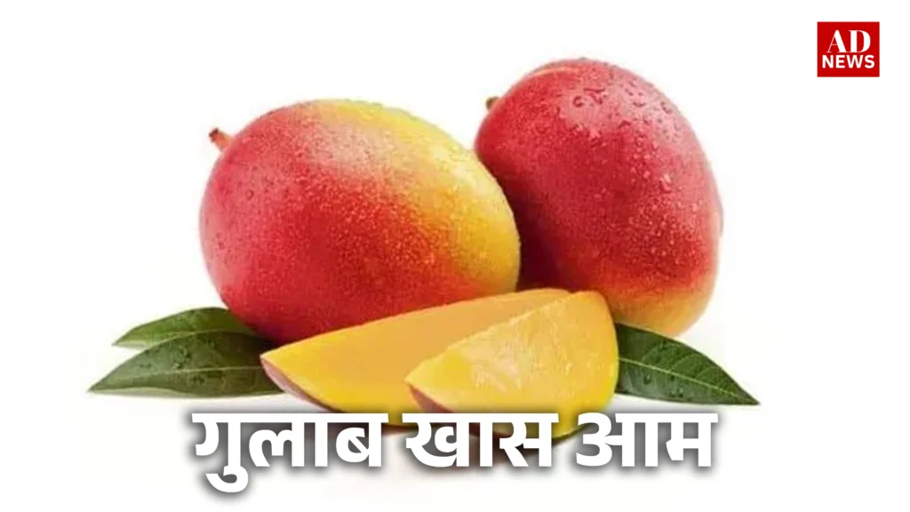 15 types of mangoes: भारत के खास आम जो आपको जरूर चखने चाहिए!