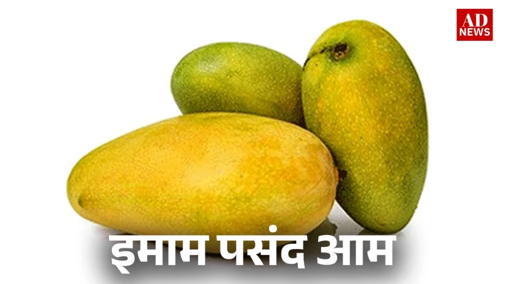 15 types of mangoes: भारत के खास आम जो आपको जरूर चखने चाहिए!