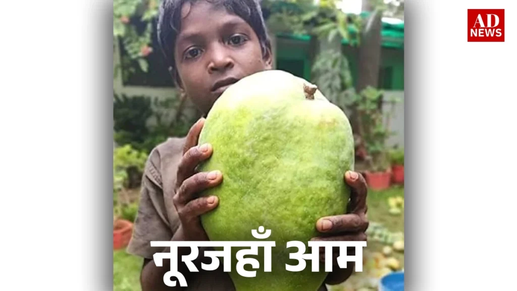 15 types of mangoes: भारत के खास आम जो आपको जरूर चखने चाहिए!