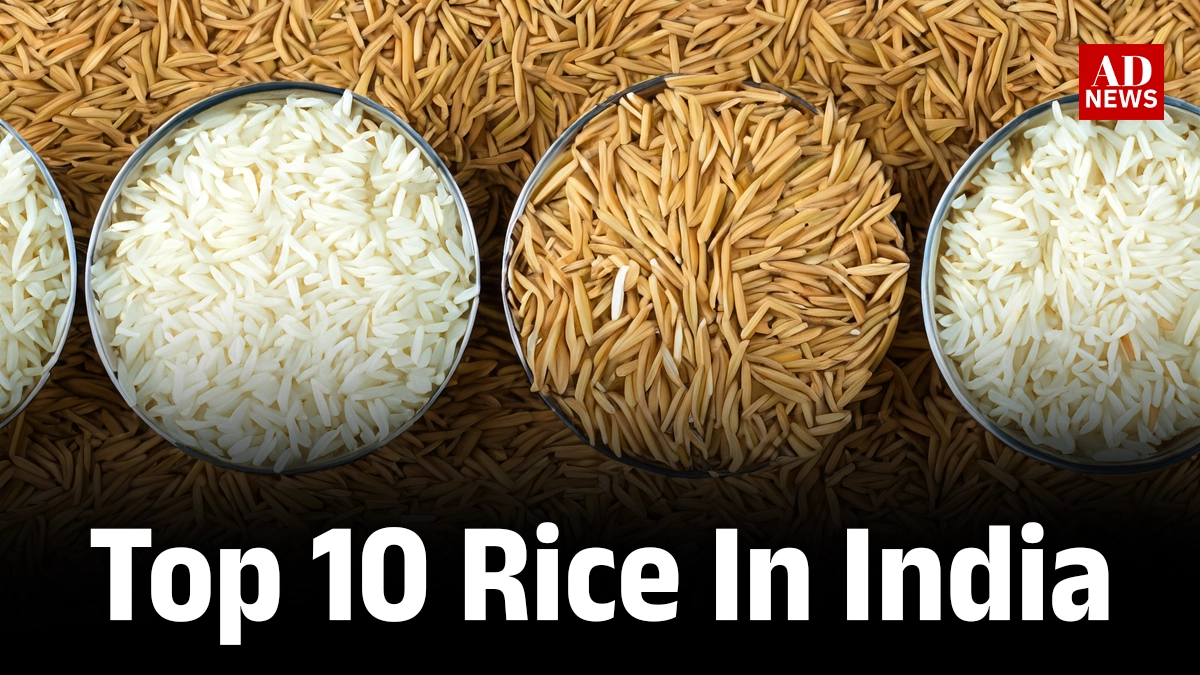 10 Types Of Rice In India: हर पकवान के लिए सबसे अच्छा चावल