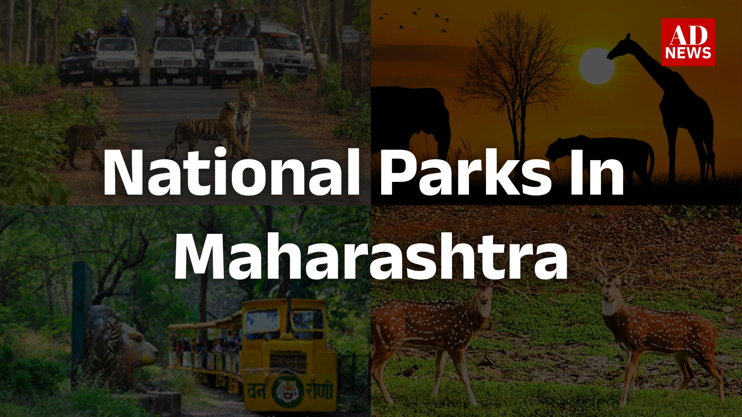 national park in maharashtra: 6 राष्ट्रीय उद्यान जो देखने लायक़ है!