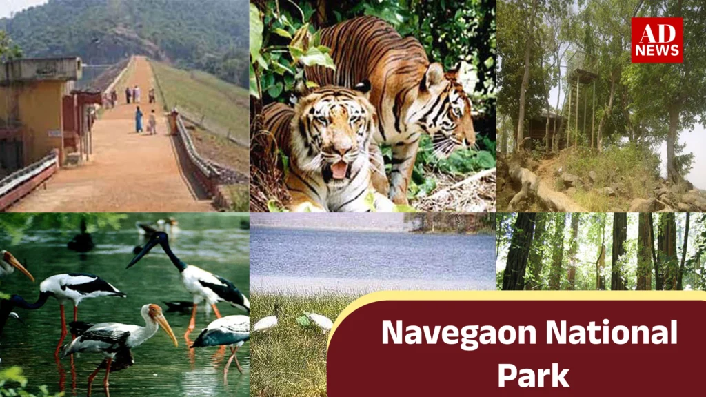 National park in maharashtra: 6 राष्ट्रीय उद्यान जो देखने लायक़ है!