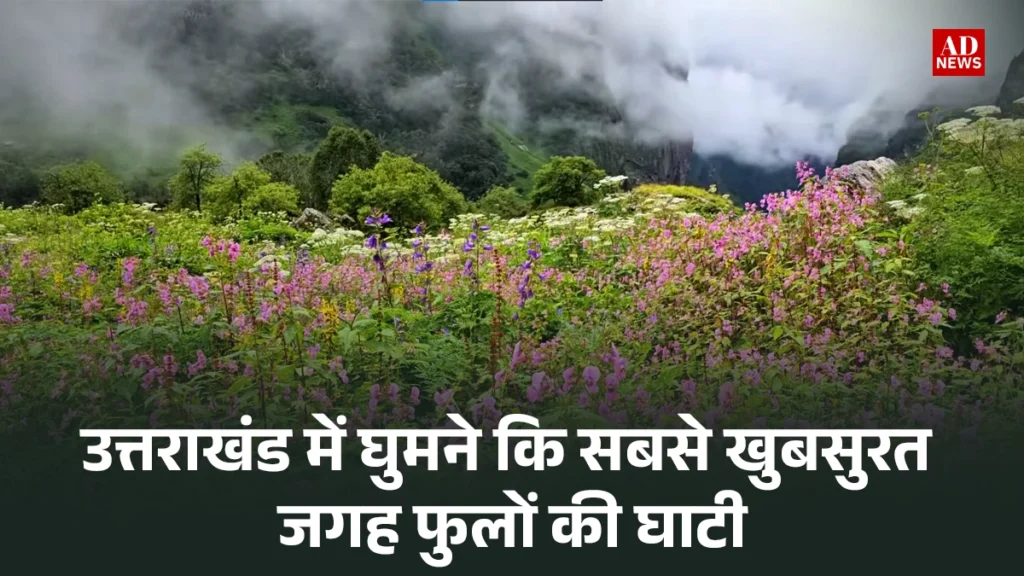 Valley of flowers: जहां रंगीन फूलों से बसी है धरती की जन्नत! 2024