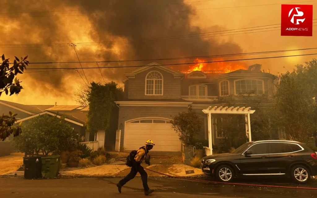 Los angeles fires: लॉस एंजिल्स के जंगलों में लगी आग ने मचाई तबाही!